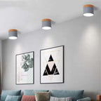 Morandi Style Modern LED Ceiling Lamp