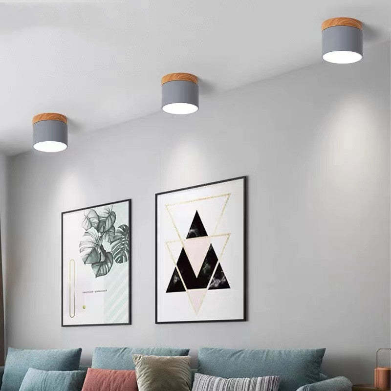 Morandi Style Modern LED Ceiling Lamp