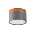 Morandi Style Modern LED Ceiling Lamp