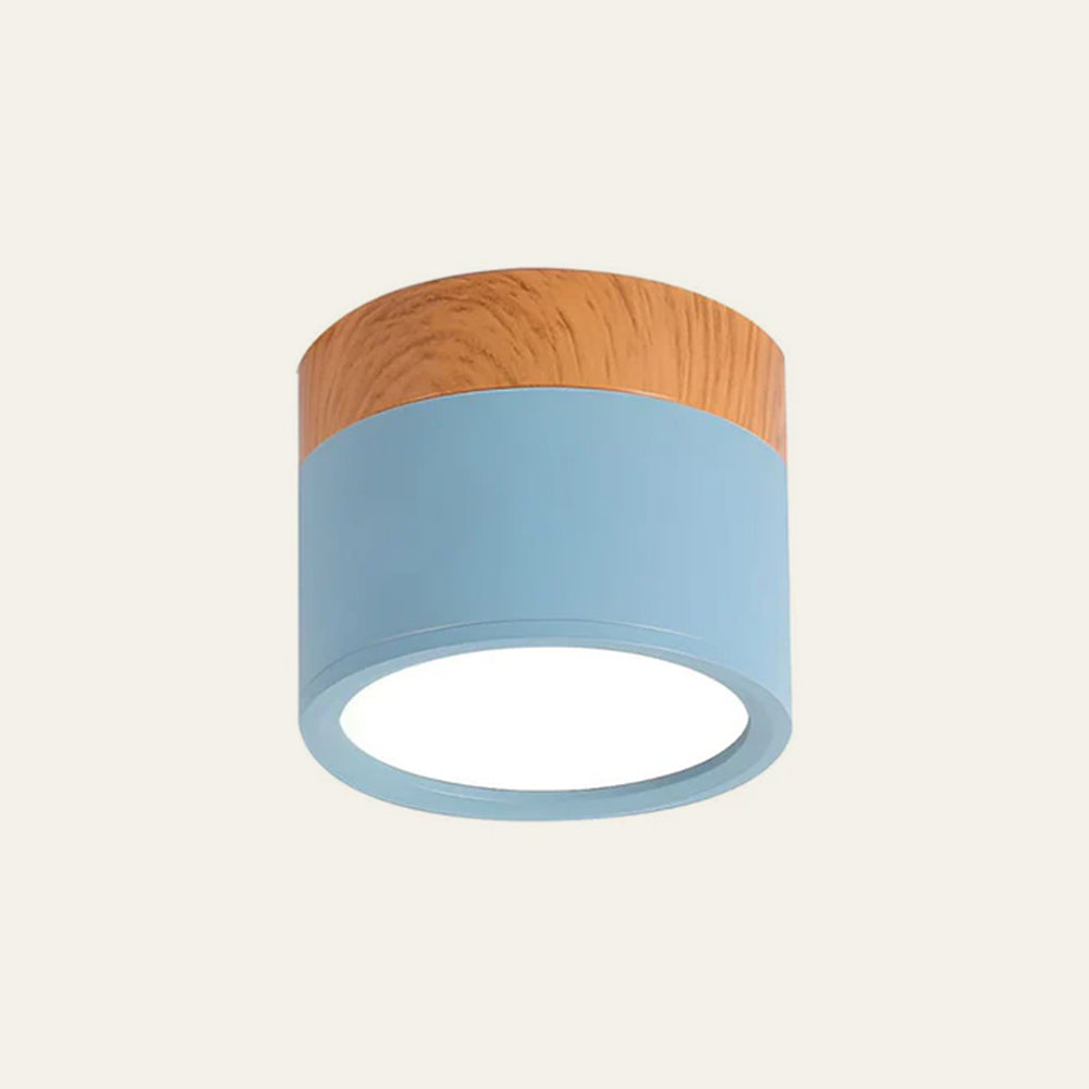 Modern Cylinder LED Flush Mount Ceiling Lamp