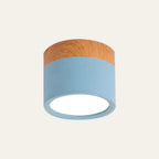 Modern Cylinder LED Flush Mount Ceiling Lamp