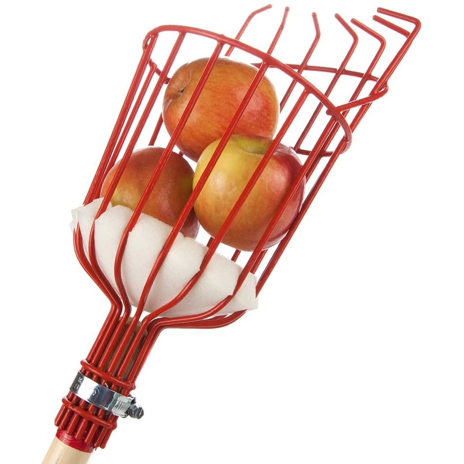 Obstpflücker-Werkzeug