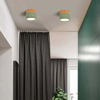 Morandi Style Modern LED Ceiling Lamp