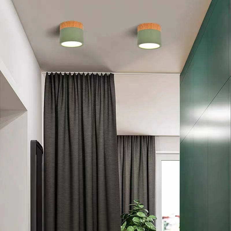 Morandi Style Modern LED Ceiling Lamp