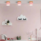 Morandi Style Modern LED Ceiling Lamp