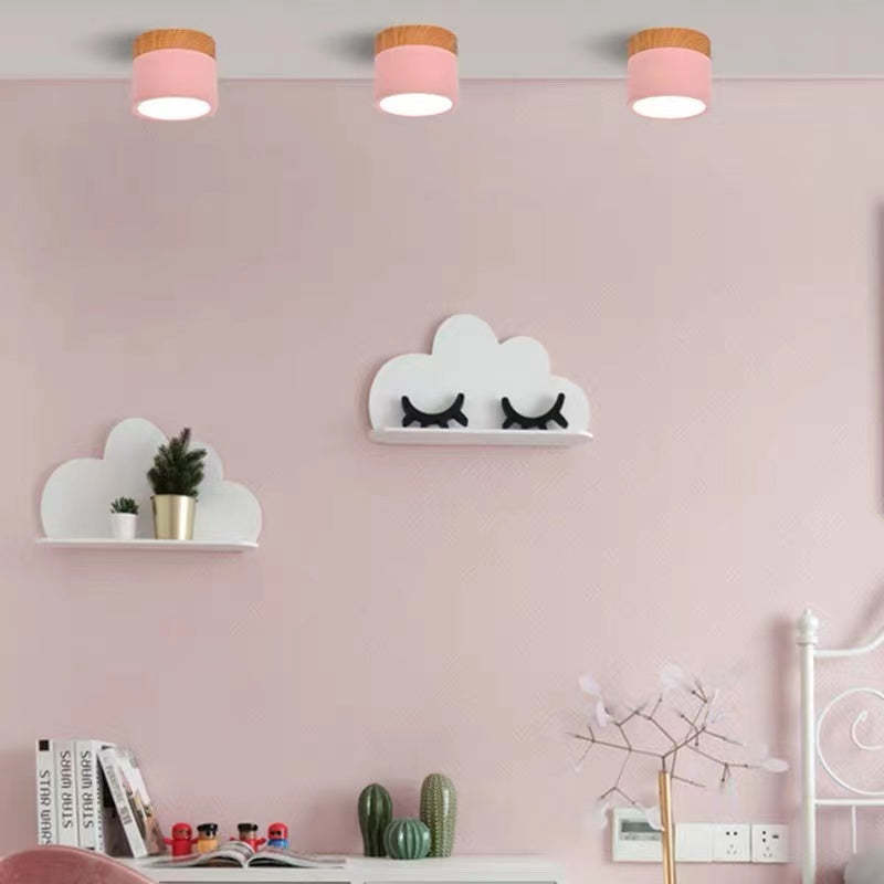 Morandi Style Modern LED Ceiling Lamp