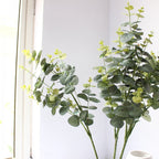 Decorative Eucalyptus Stem