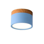 Morandi Style Modern LED Ceiling Lamp