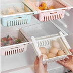 FridgeMaster Pro