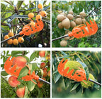 Obstpflücker