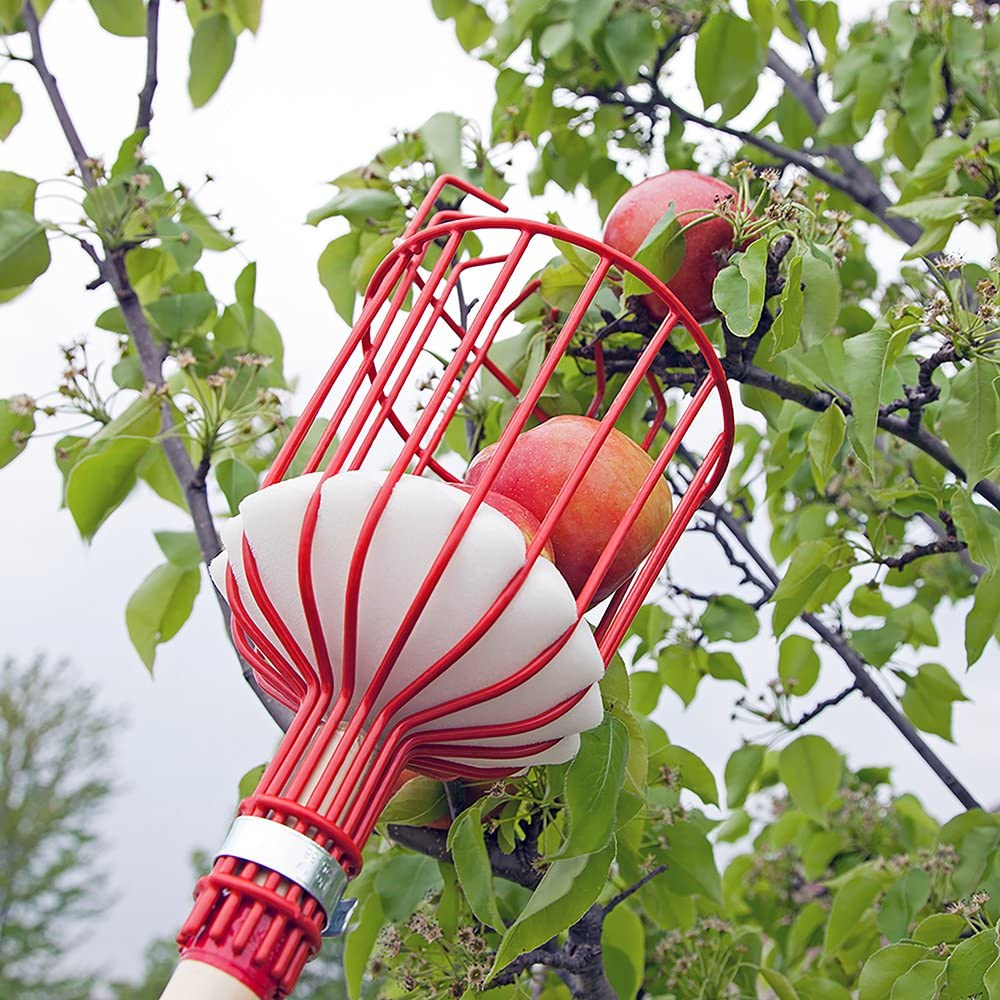 Obstpflücker-Werkzeug