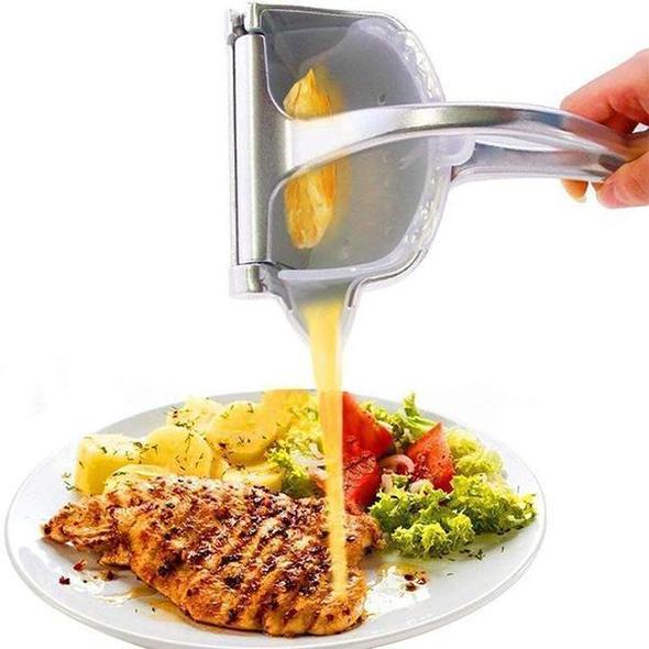 Stainless Steel Citrus Juicer