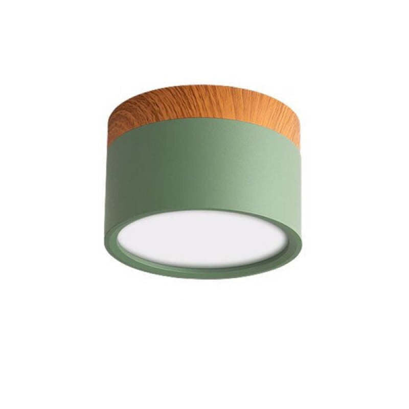Morandi Style Modern LED Ceiling Lamp
