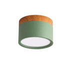 Morandi Style Modern LED Ceiling Lamp