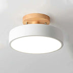 LunaLux Modern LED Ceiling Lamp