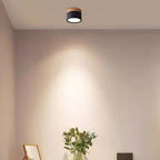 Morandi Style Modern LED Ceiling Lamp