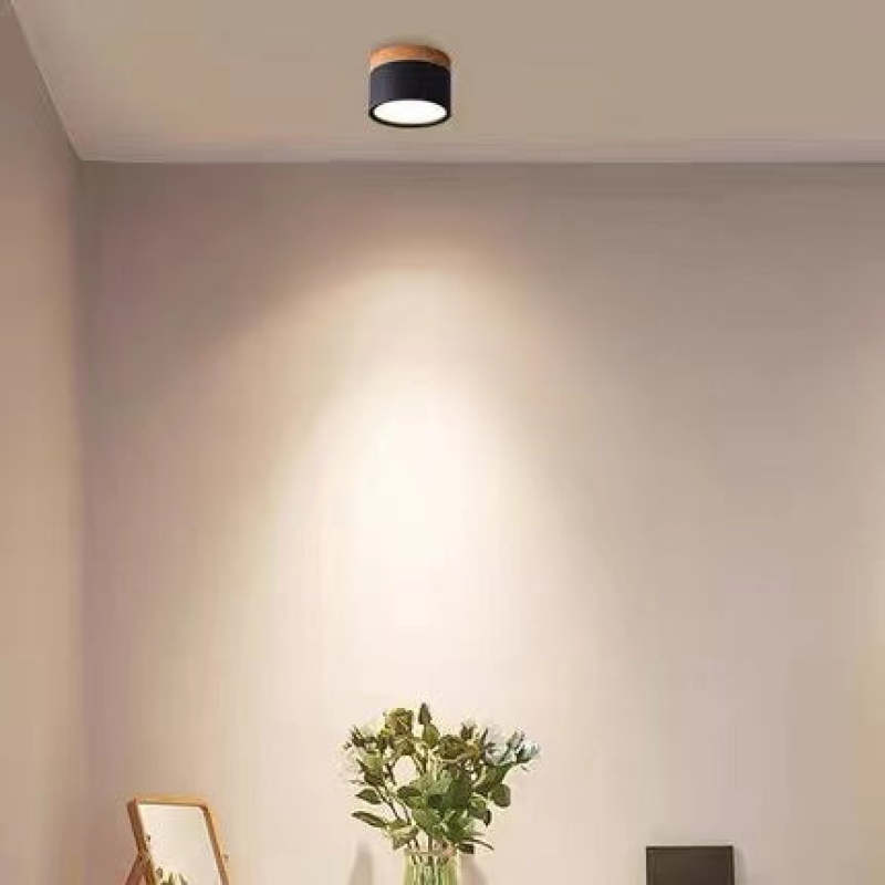 Morandi Style Modern LED Ceiling Lamp