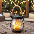 Fire Seed Solar Light