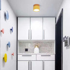 Morandi Style Modern LED Ceiling Lamp