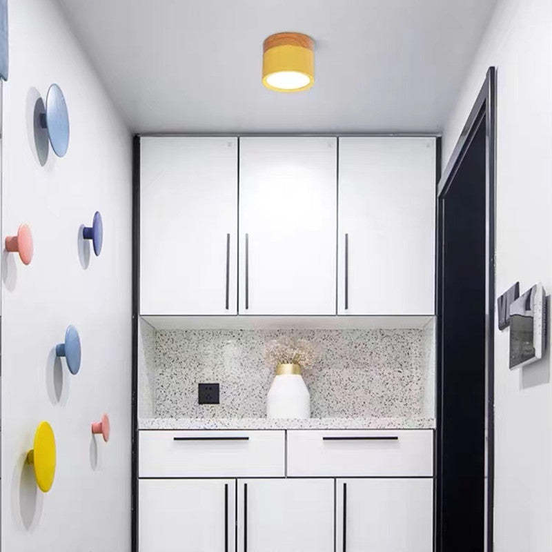 Morandi Style Modern LED Ceiling Lamp
