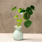 Elegant Curved Ceramic Flower Vase