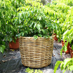 Handwoven Unisex Storage Basket