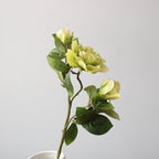 Elegant Decorative Magnolia Stem