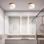 Morandi Style Modern LED Ceiling Lamp