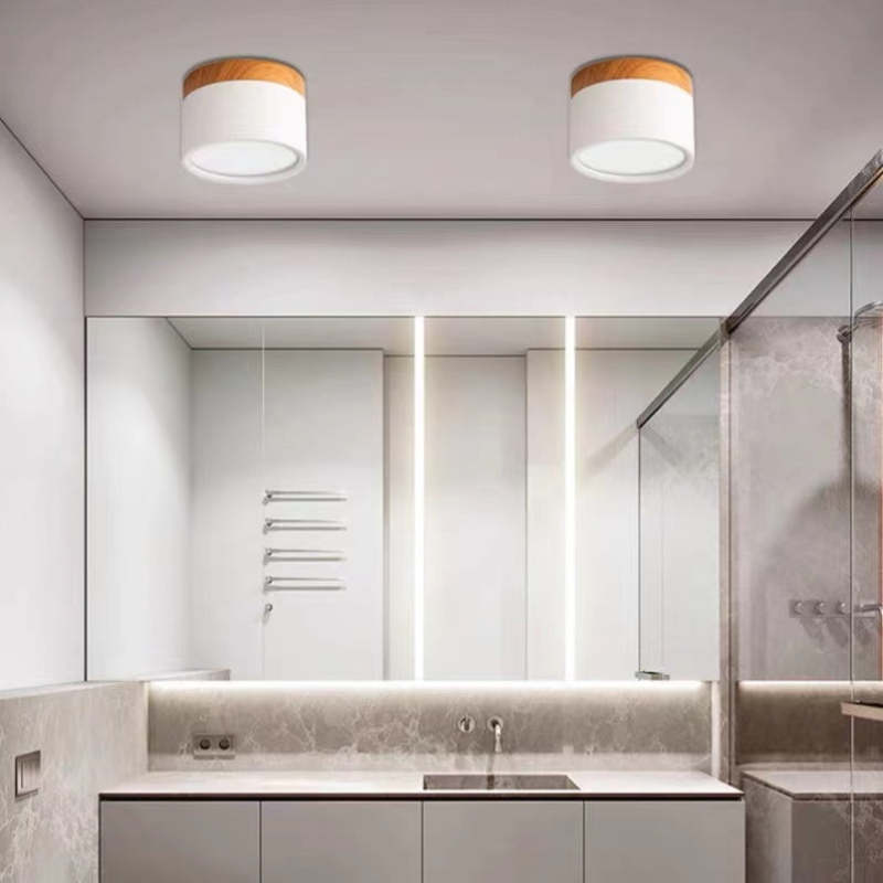 Morandi Style Modern LED Ceiling Lamp