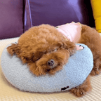 Orthopedic Dog Cushion for Stress and Anxiety