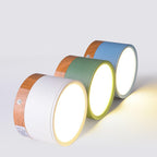 Modern Cylinder LED Flush Mount Ceiling Lamp