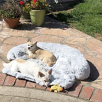 Washable Pet Sofa Blanket