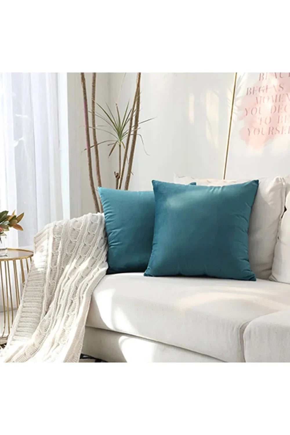 Decor Accent Pillow Case