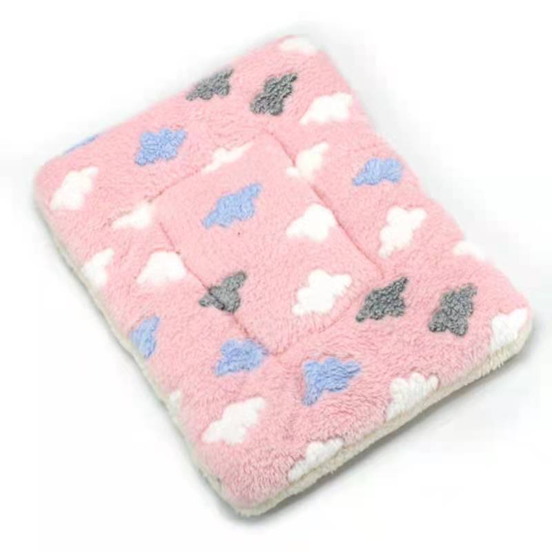 PetCloud Comfortable Pet Cushion