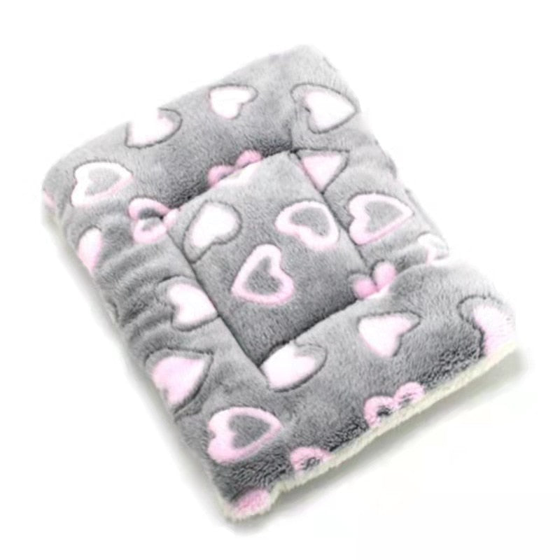 PetCloud Comfortable Pet Cushion