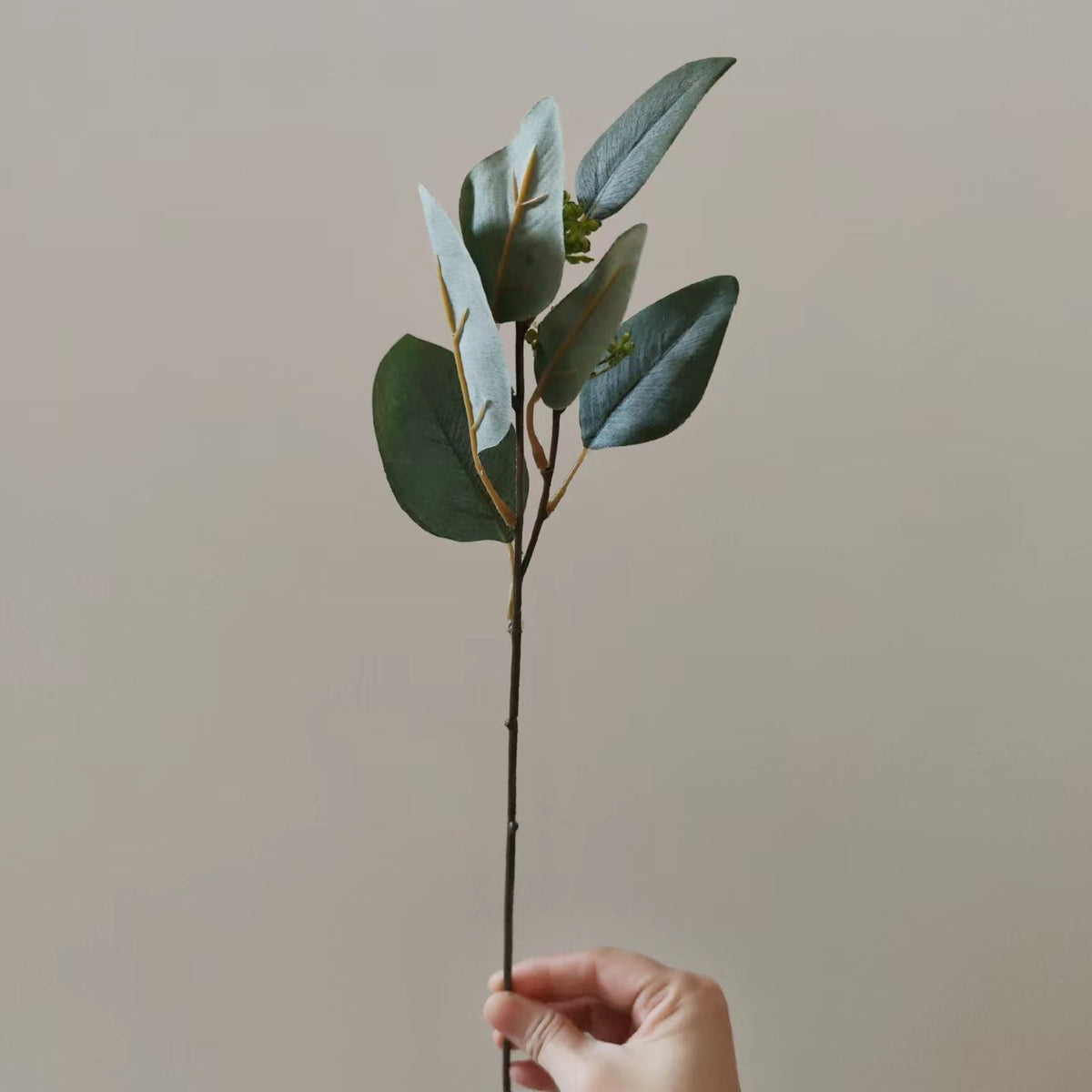 Decorative Dried Floral Stem