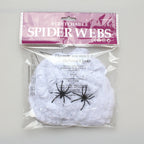 Decorative Spider Web Decor