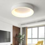 Modern LED Ceiling Light