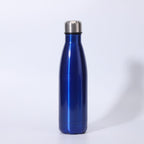 Insulated Stainless Steel Water Bottle