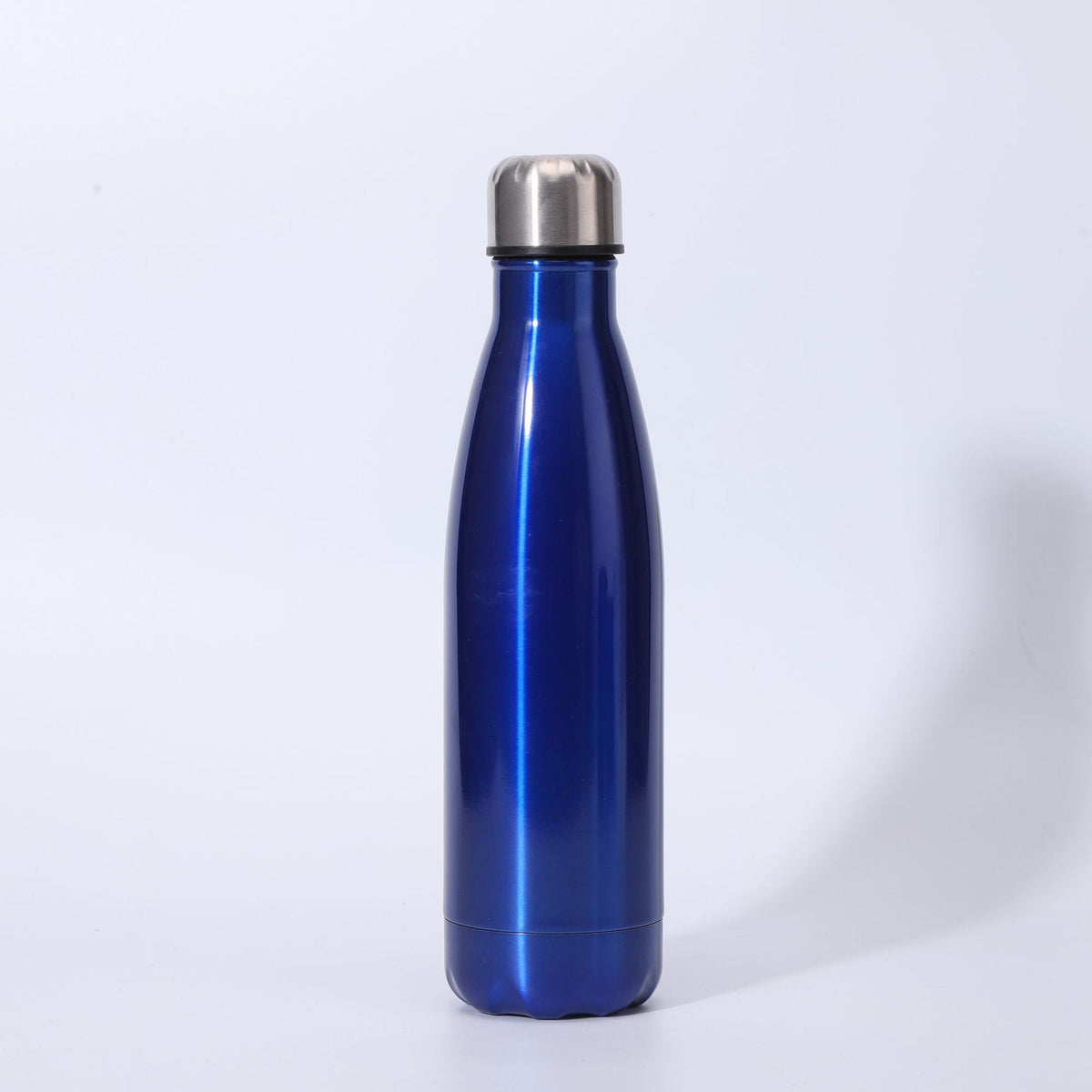 Insulated Stainless Steel Water Bottle