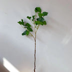 Ginkgo Biloba Decorative Stem