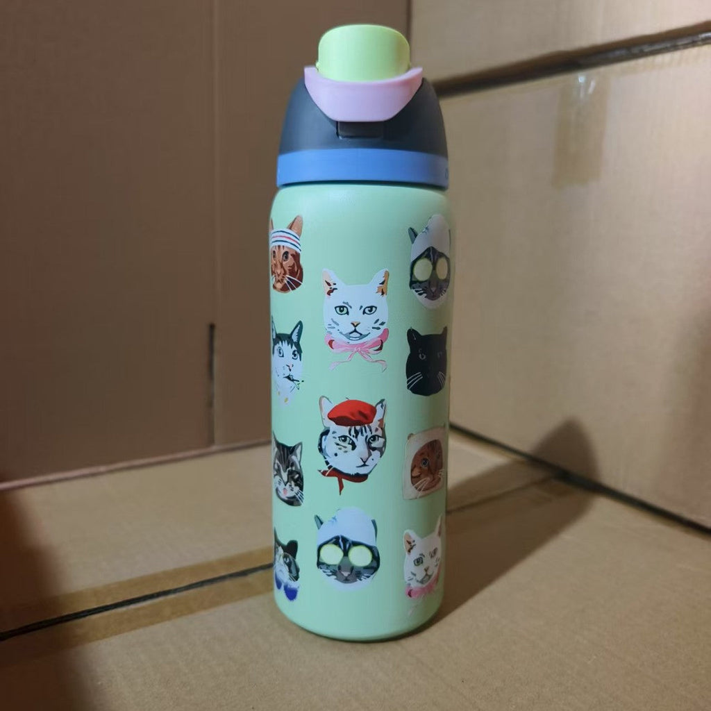 Insulated Stainless Steel Vacuum Water Bottle