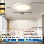 Contemporary Round Ceiling Light