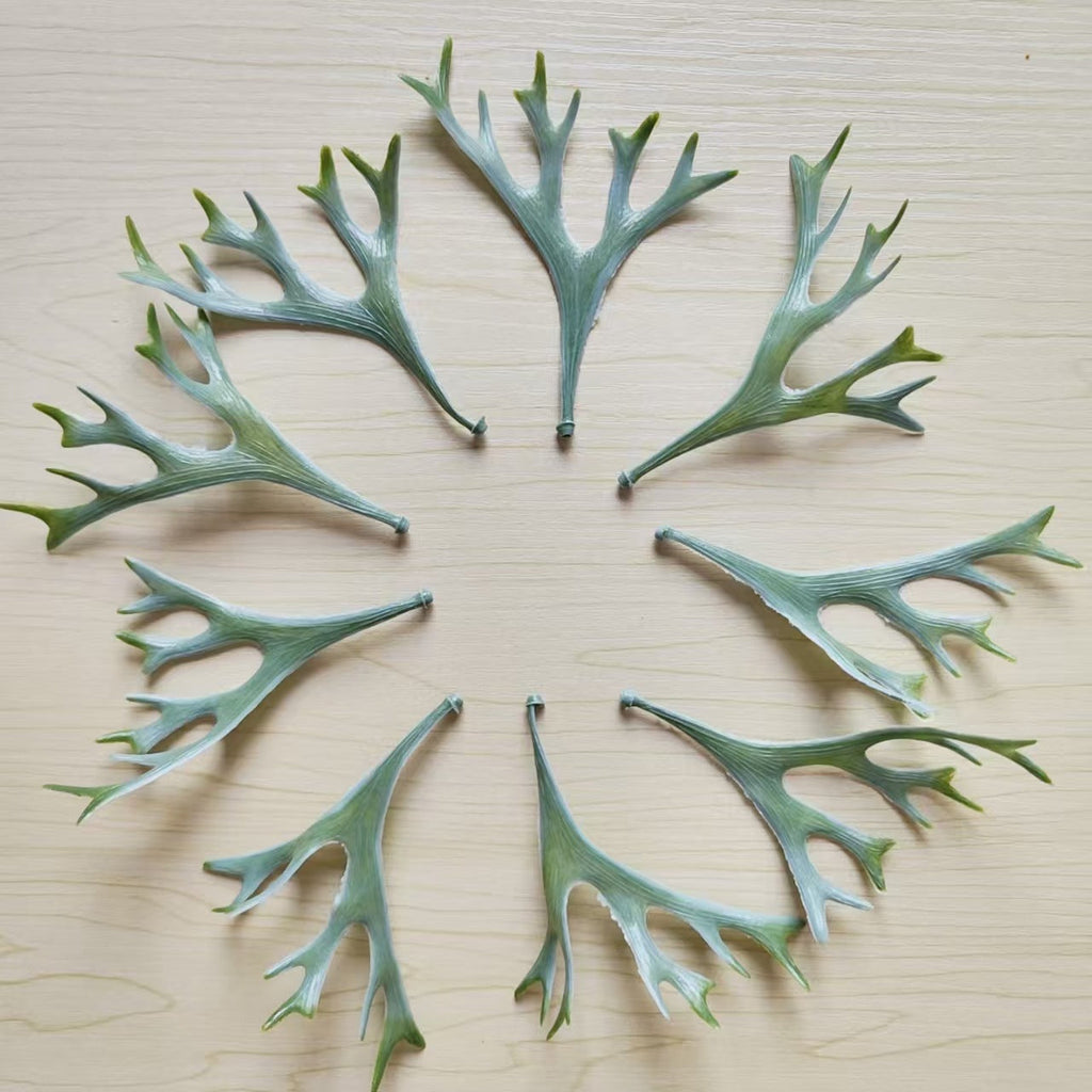 Decorative Botanical Leaf Stem
