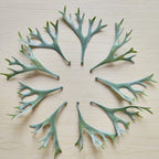 Decorative Botanical Leaf Stem
