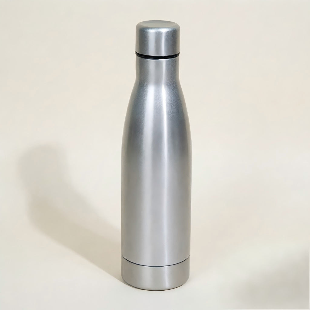 Insulated Stainless Steel Water Bottle