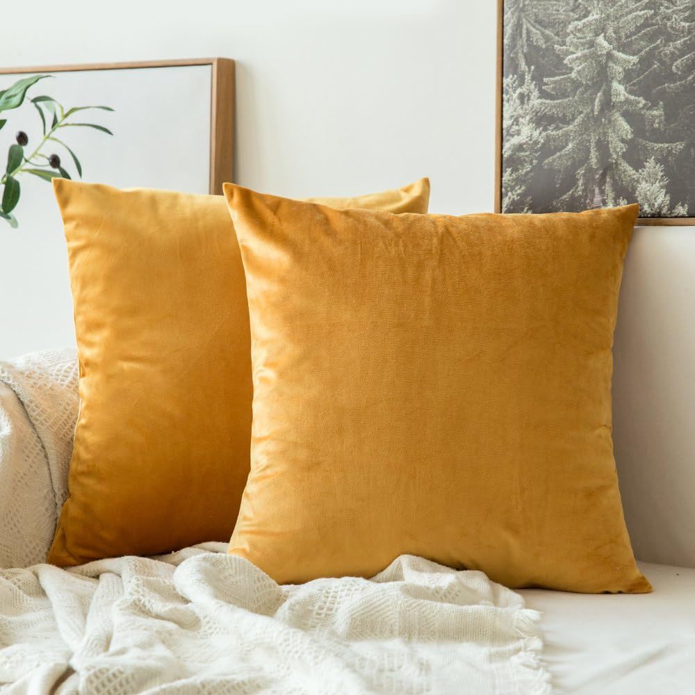 Velvet Square Decorative Throw Pillow Set