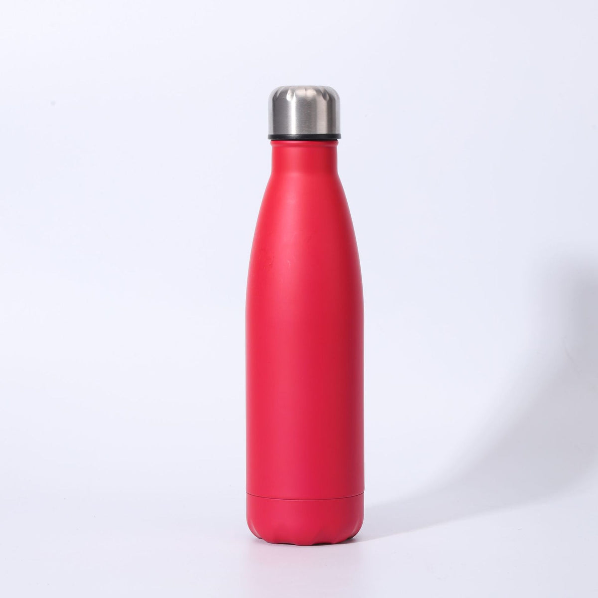 Insulated Stainless Steel Water Bottle