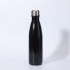 Insulated Stainless Steel Water Bottle