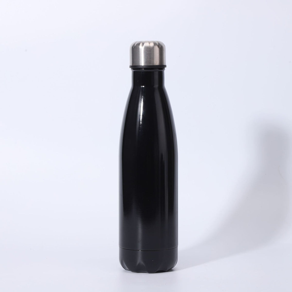 Insulated Stainless Steel Water Bottle